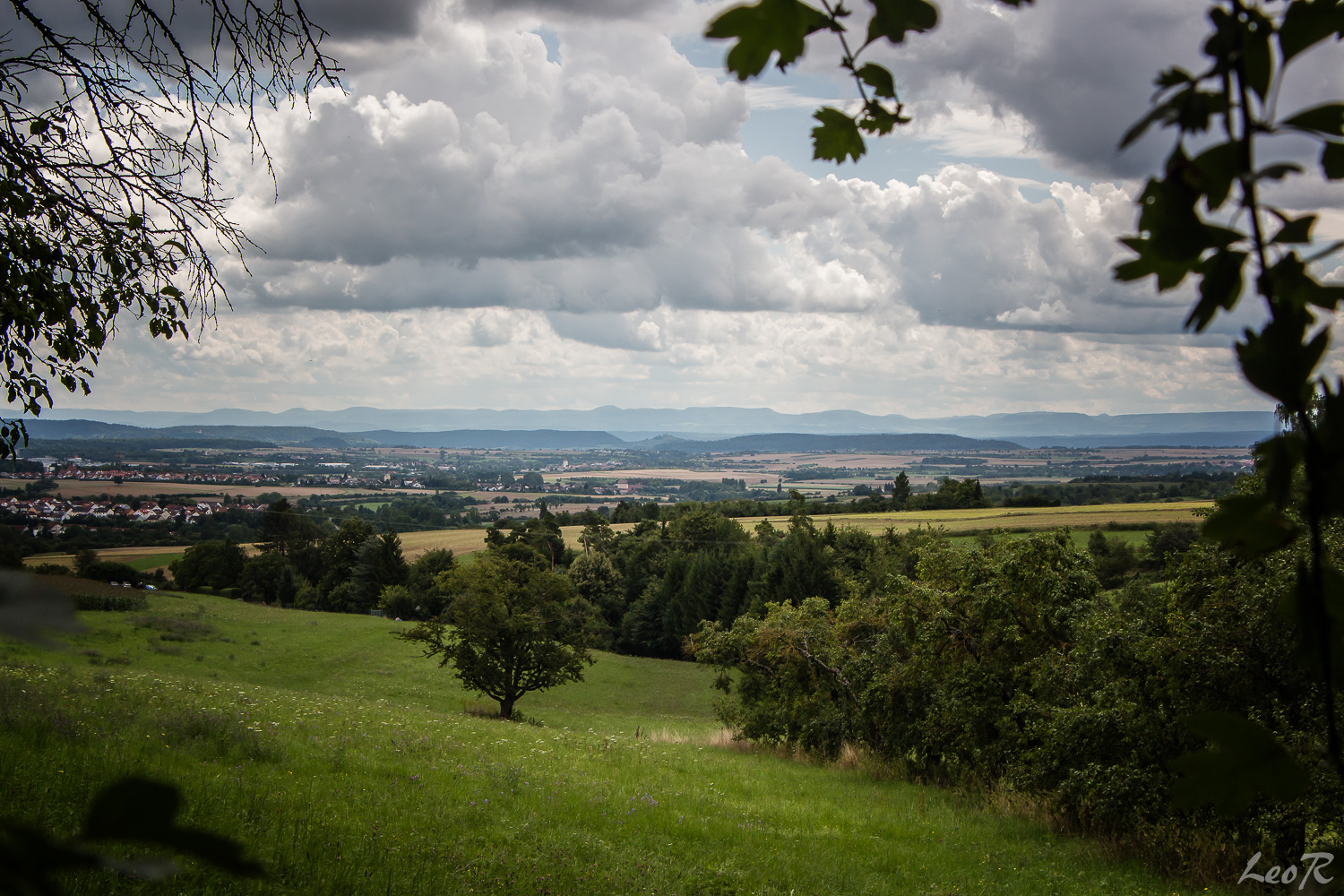 Blick auf die Alp