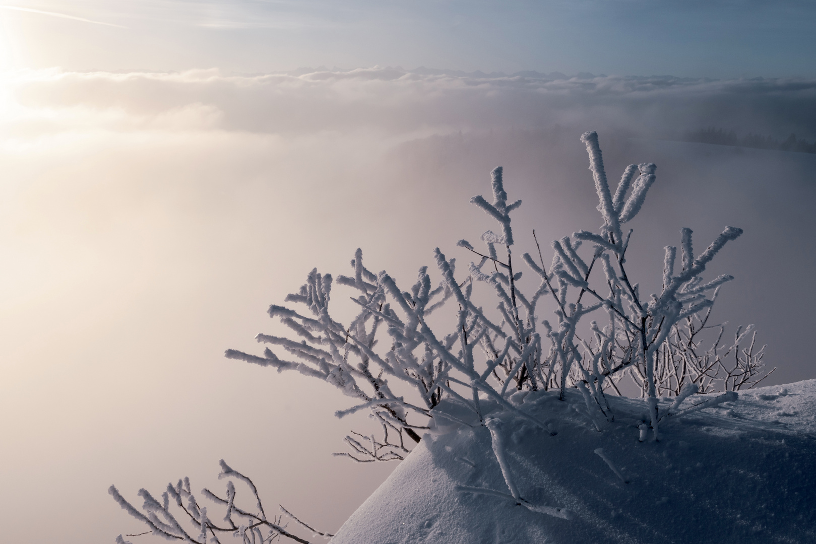 Blick auf die Alpen