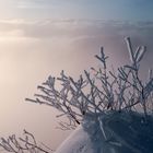 Blick auf die Alpen