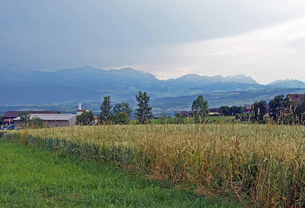 ..Blick auf die Alpen..