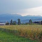 ..Blick auf die Alpen..