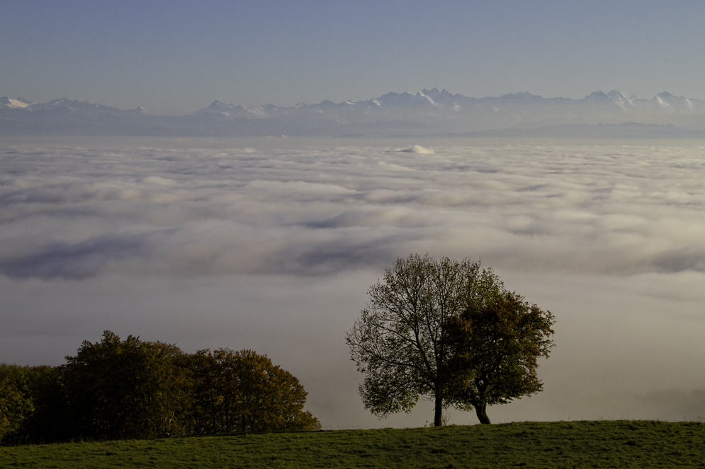 Blick auf die Alpen...