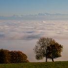 Blick auf die Alpen...