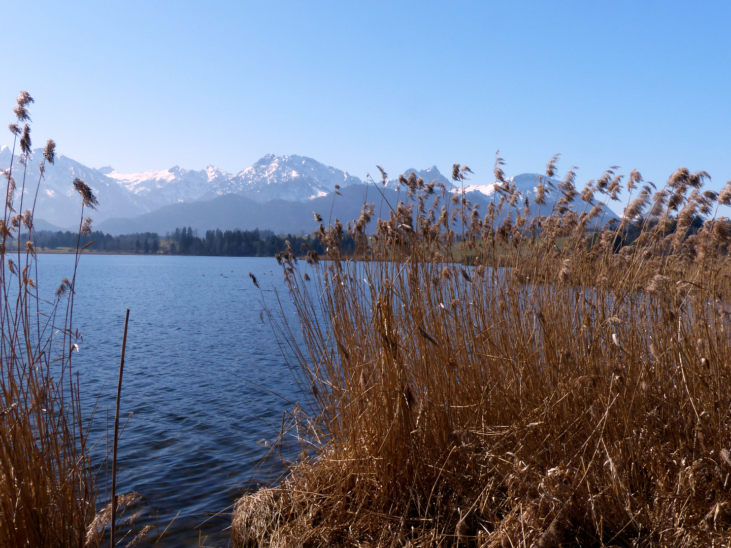 Blick auf die Alpen