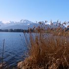 Blick auf die Alpen