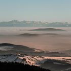 Blick auf die Alpen