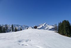 Blick auf die Alpsitze