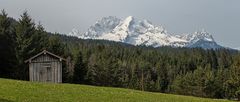 Blick auf die Alpspitze