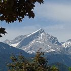 Blick auf die Alpspitze