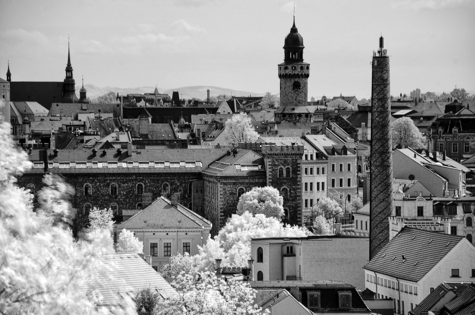 Blick auf die Altstadt