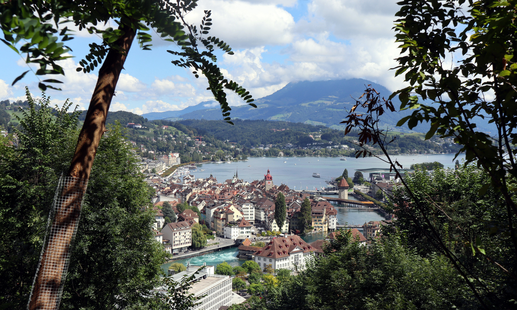 Blick auf die Altstadt Luzern