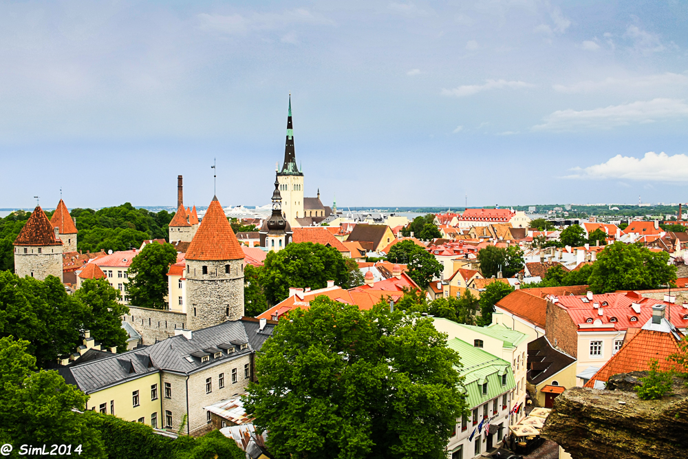 Blick auf die Altstadt von Tallin