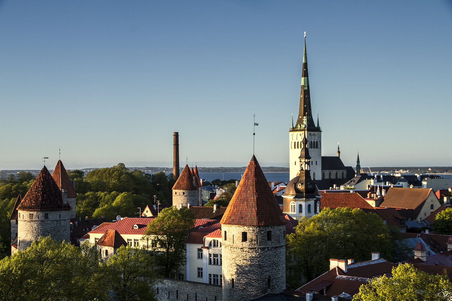 Blick auf die Altstadt von Tallinn