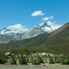 Blick auf die Anden bei Mendoza