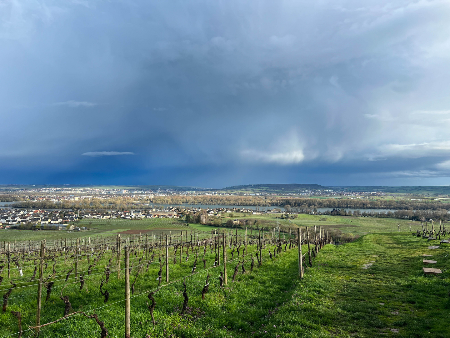 Blick auf die andere Rheinseite