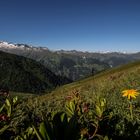 Blick auf die Ankogelgruppe