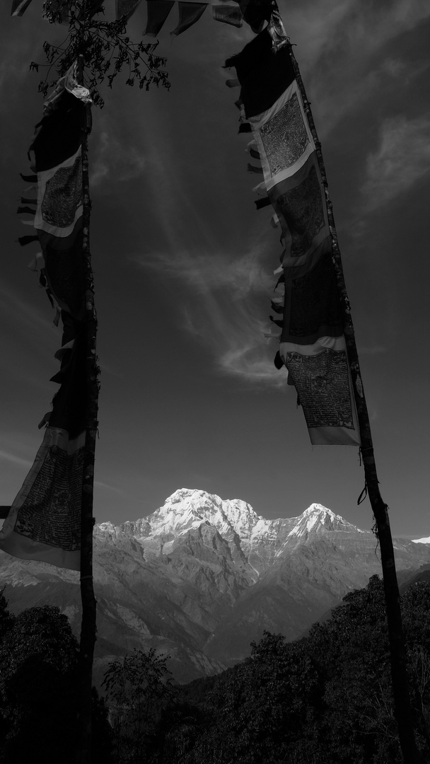 Blick auf die Annapurna Süd 
