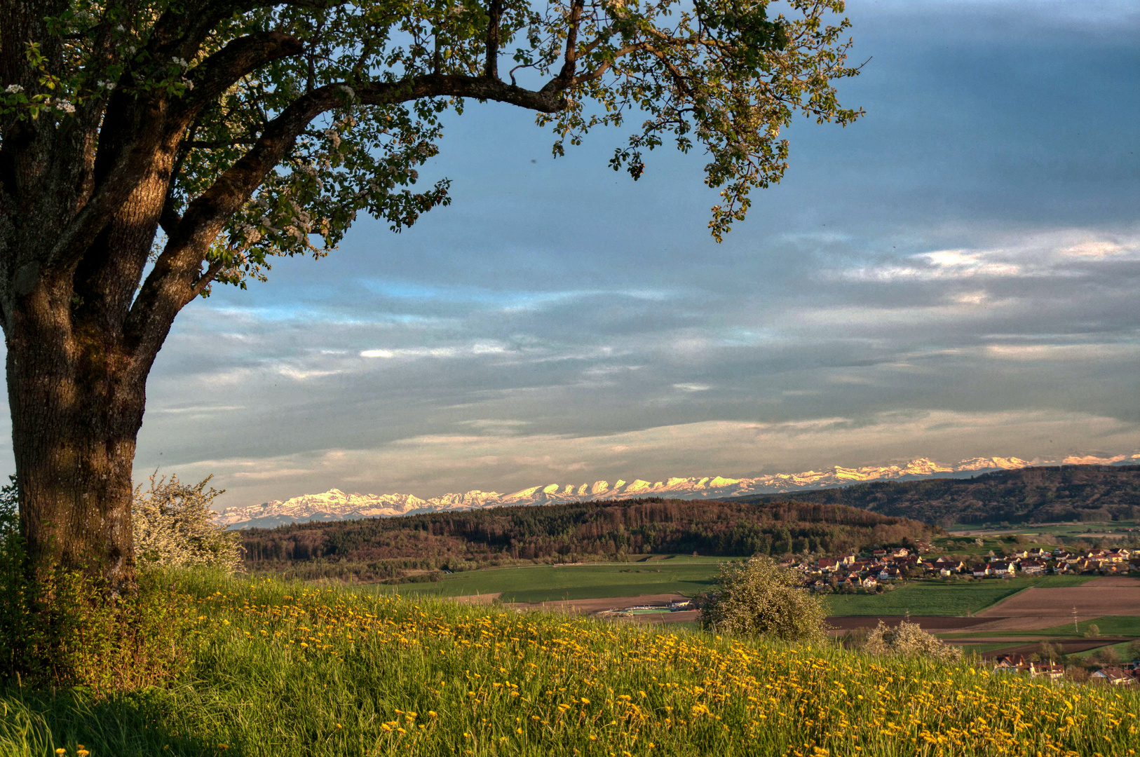 Blick auf die Appenzeller Alpen