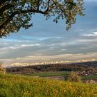 Blick auf die Appenzeller Alpen