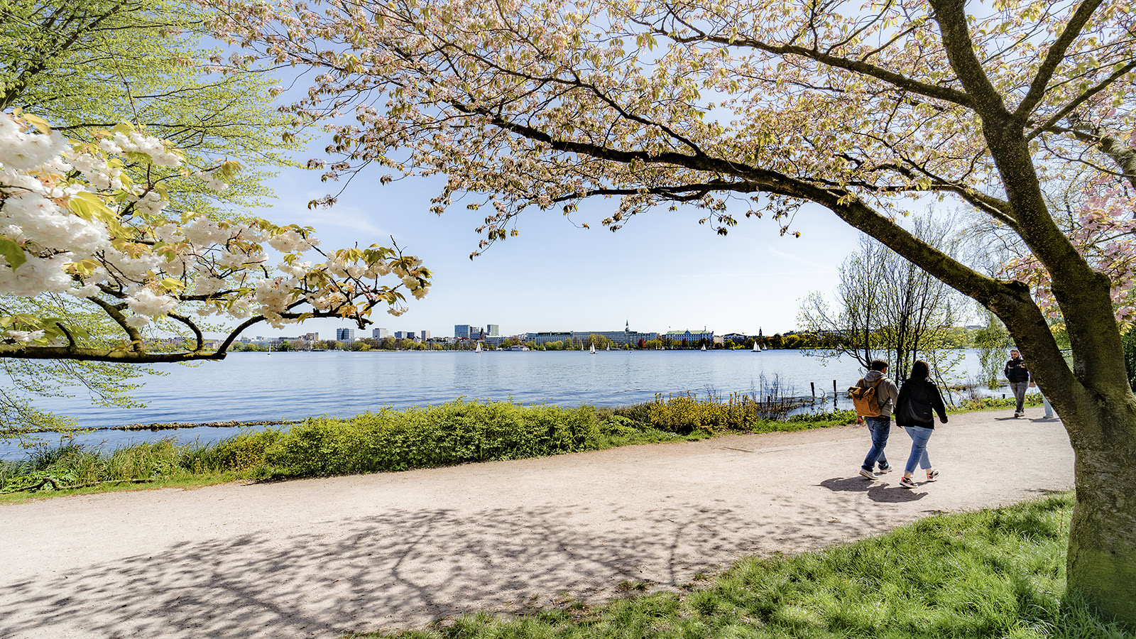 Blick auf die Außenalster 