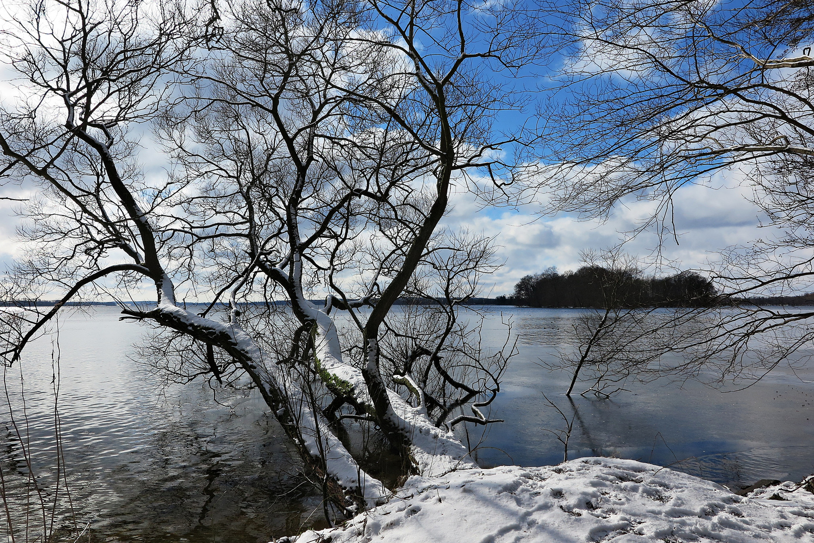 Blick auf die Bäume am Ufer vom Großen Plöner See im Februar 2018