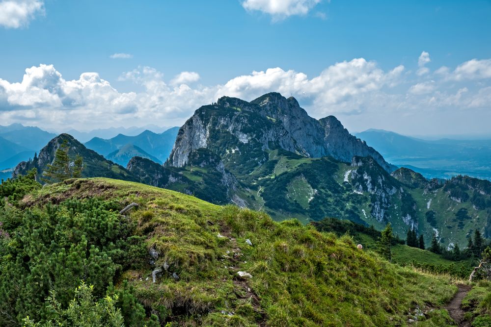 Blick auf die Benediktenwand