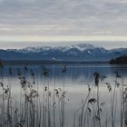 Blick auf die Benediktenwand