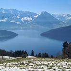 Blick auf die Berge und den  Vierwaldstättersee 