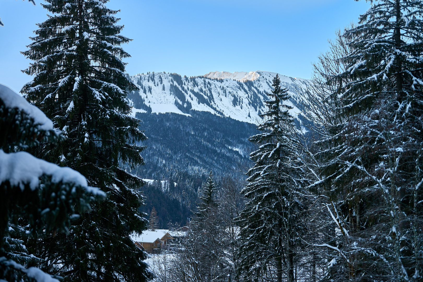 Blick auf die Berge / view of the mountains