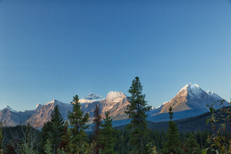 Blick auf die Berge vom Icefield Parkway aus