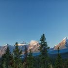 Blick auf die Berge vom Icefield Parkway aus