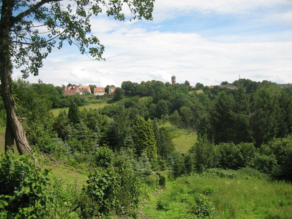 Blick auf die Bergstadt Rüthen / Sauerland am 01. Juli 2007