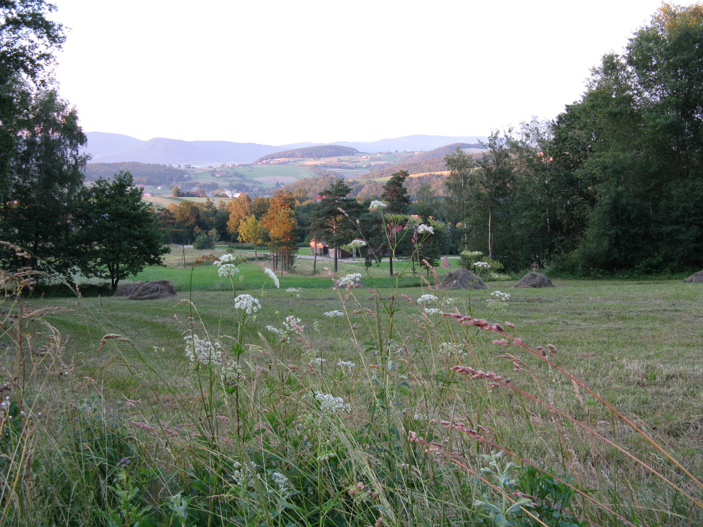 Blick auf die Beskid Wyspowy