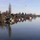 Blick auf die Billerhuder Insel