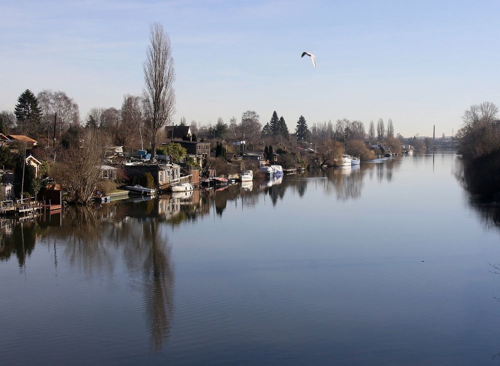 Blick auf die Billerhuder Insel