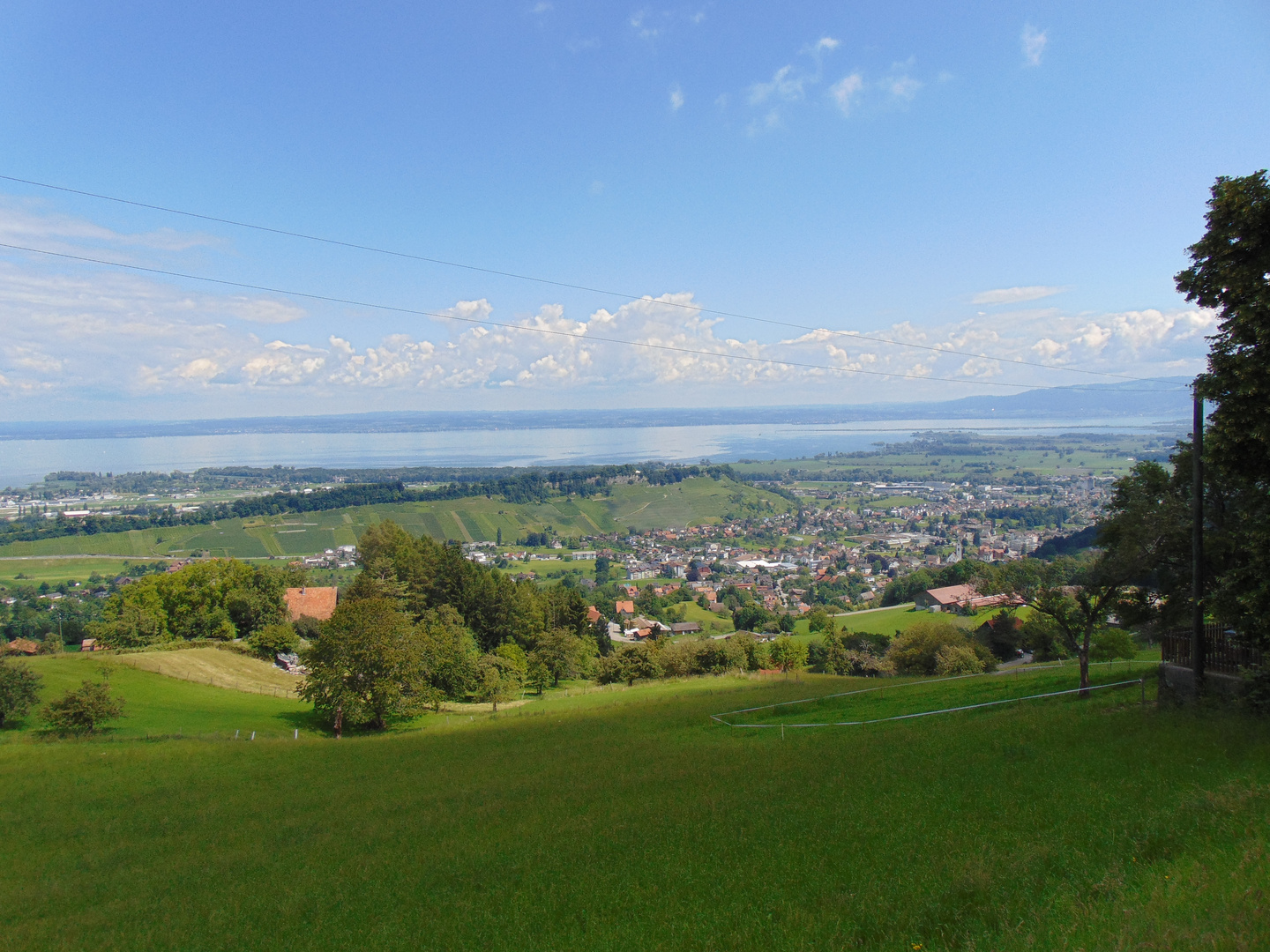 Blick auf die Bodenseegemeinden der Schweiz