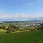 Blick auf die Bodenseegemeinden der Schweiz