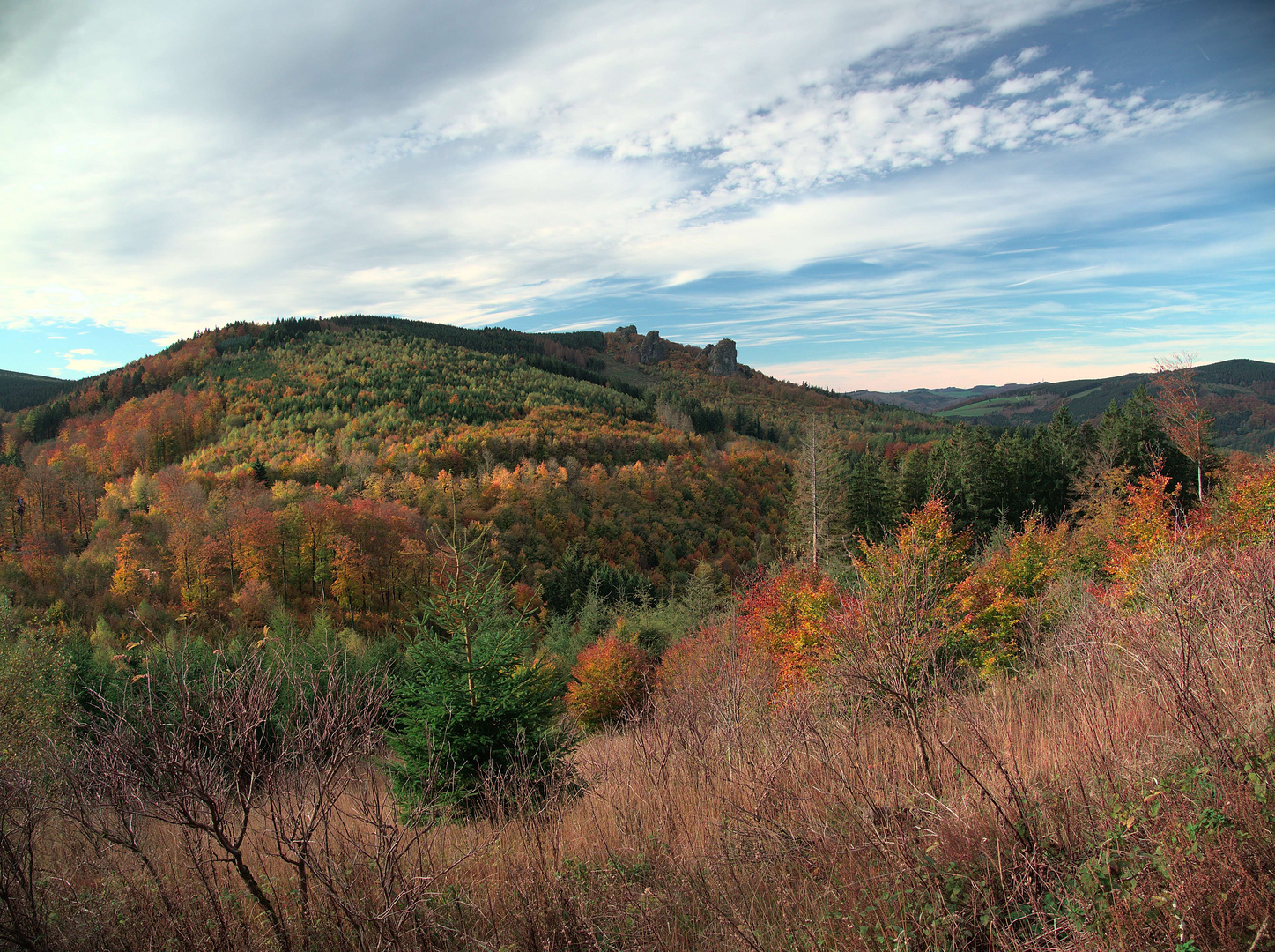 Blick auf die Bruchhauser Steine