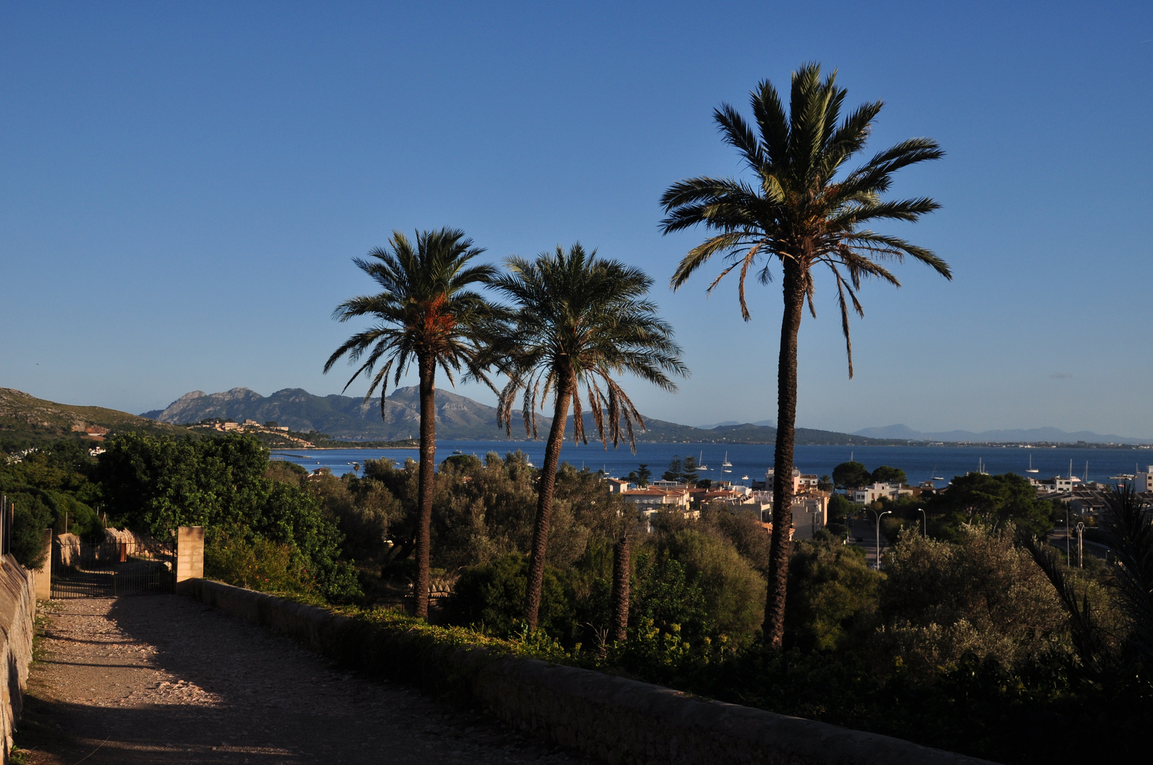 Blick auf die Bucht und Puerto de Pollenca