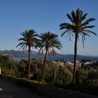 Blick auf die Bucht und Puerto de Pollenca