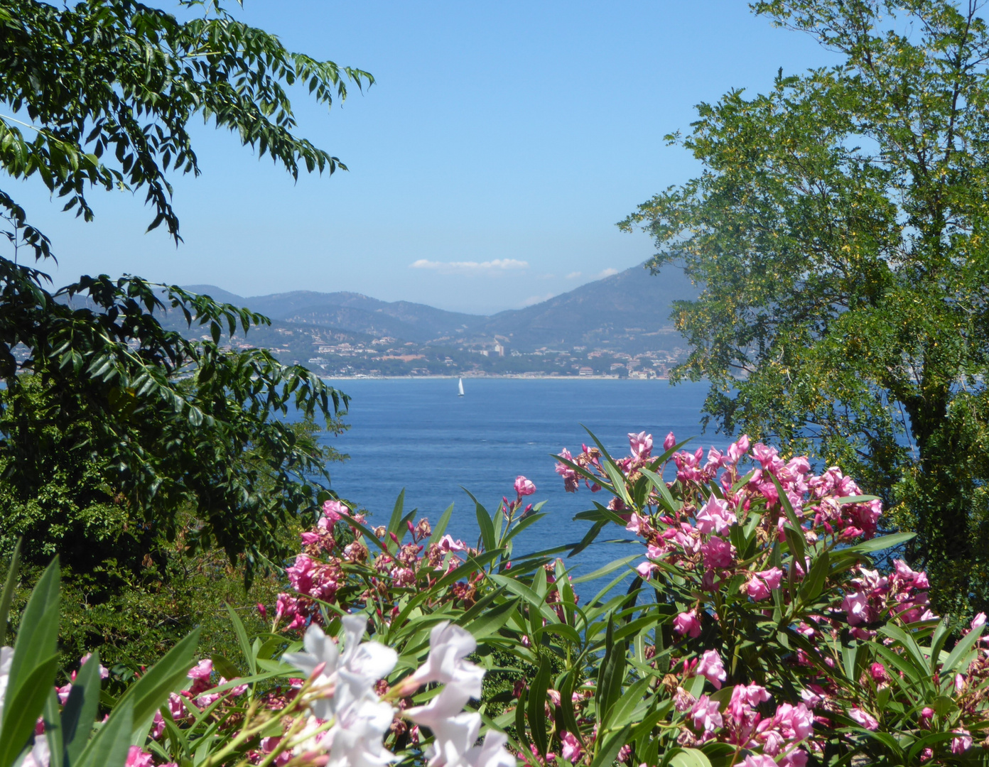 Blick auf die Bucht von St. Tropez