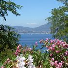 Blick auf die Bucht von St. Tropez