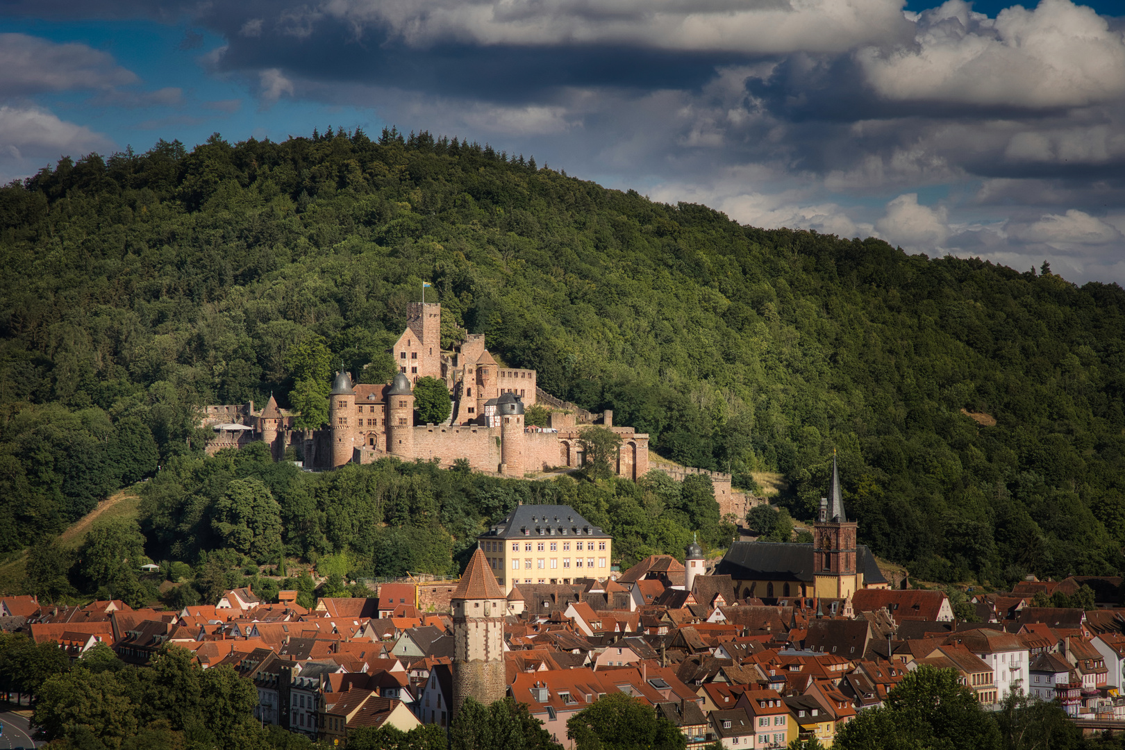 Blick auf die Burg.