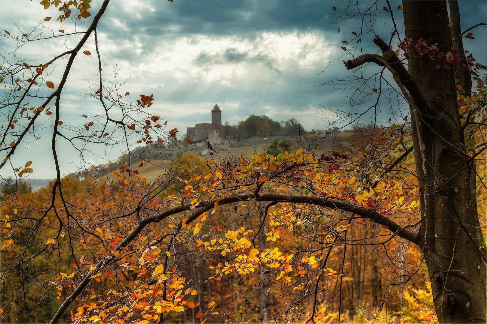 Blick auf die Burg