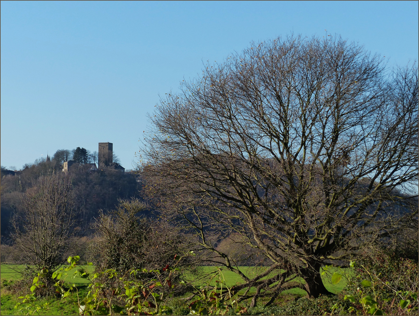 Blick auf die Burg Blankenstein