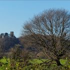 Blick auf die Burg Blankenstein