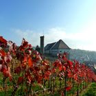 Blick auf die Burg in Talheim