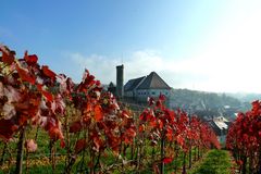 Blick auf die Burg in Talheim