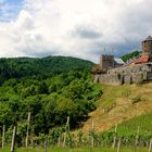 Blick auf die Burg Landsberg...