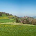 Blick auf die Burg Regensberg